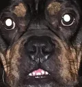 emoji_2 emoji_2