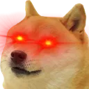 triggered_doge