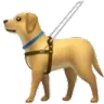 guidedog