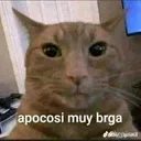muyvrg
