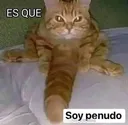 penudo