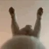 ThisIsCrazy ThisIsCrazy