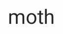 moth