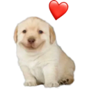gg_goodboy Discord emoji