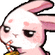 Pinkbunnysip