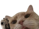 ndcatshooter Discord emoji