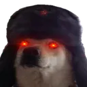 friendy