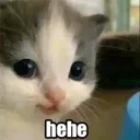 hehe hehe