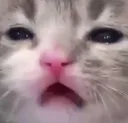 uhh