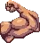 muscle