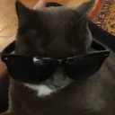 EllyCool