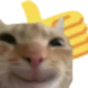 thumbsupcat