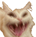 catscreAAAAAAm Discord emoji