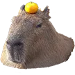 capyorange capyorange
