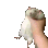 ratshake