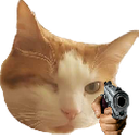 CatAimGun