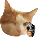CatAimGun