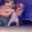 Kitty_Dancing