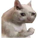 dammit Discord emoji