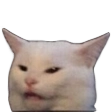 confusedcat Discord emoji