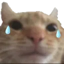 sad