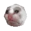 frotate
