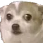 concern