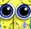 spongeSad spongeSad