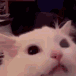 thurstonangry Discord emoji