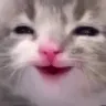 KoalaHappy