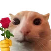 ForYou