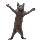 emoteadance27 emoteadance27