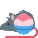 rat_with_shaved_ice