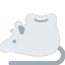 rat_tooth