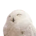 8f8704cac926e8b9cf5fb3777b9ea5ea