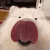 Keai_Dog_Lick