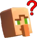 Villager_Question_What