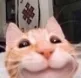emoji_47