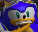 SonicTerrified