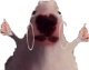 slay_rat Discord emoji