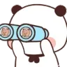 look look