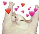 cattielove Discord emoji