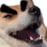 EvilKek EvilKek