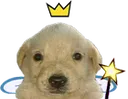 faerieBuddy