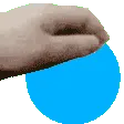 circlepet