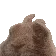 RabDance