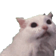 ayyyy Discord emoji