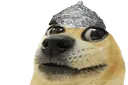 WideEyedDoge Discord Emoji
