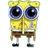 spunchy spunchy