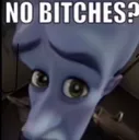 no_bitches no_bitches
